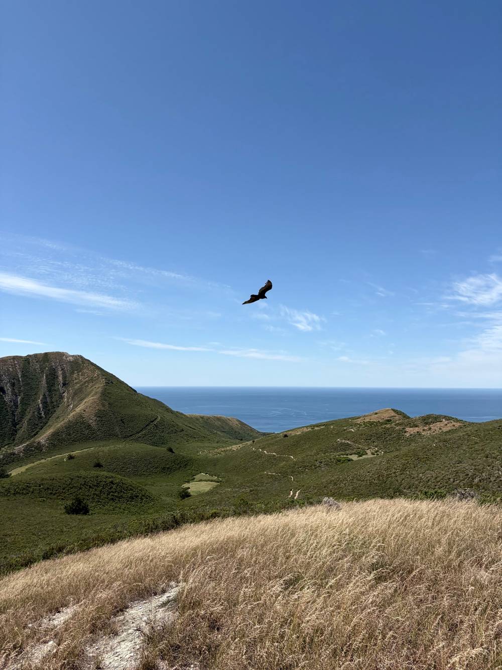 Montaña de Oro