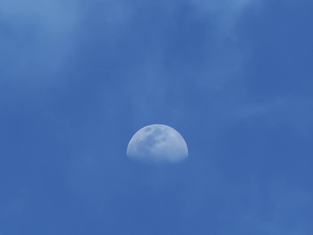 Afternoon moon