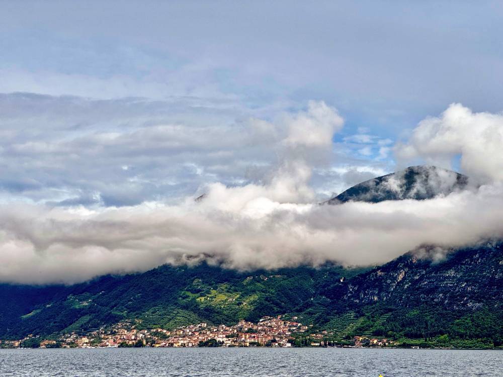 Mountain Mist
