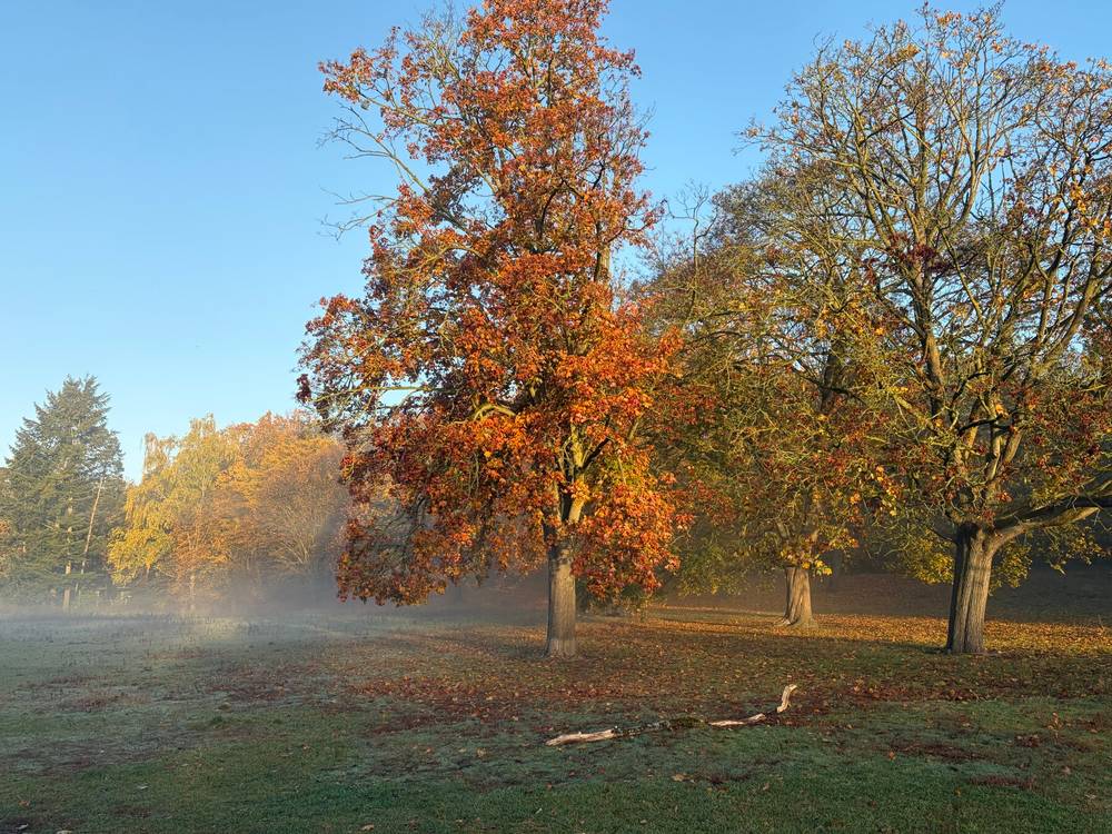 nebel war angesagt, nebel wurde geliefert.