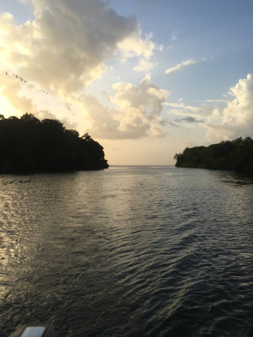 Felicity River At Sunrise