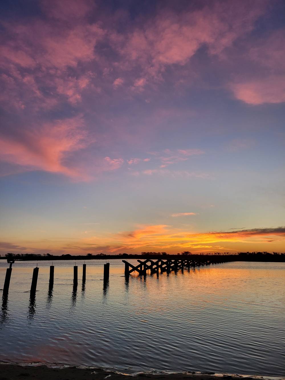 glassy water with wooden posts and distant trees under a golden sunset with fluffy pink clouds above