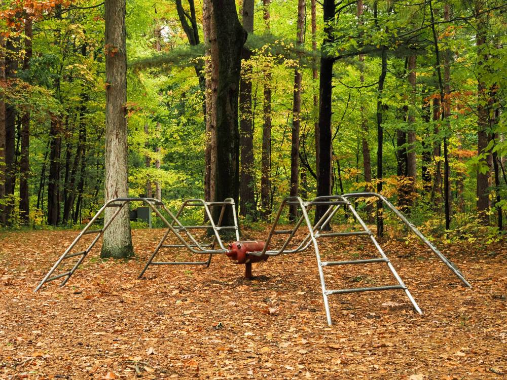 Spider Climber at a campground
