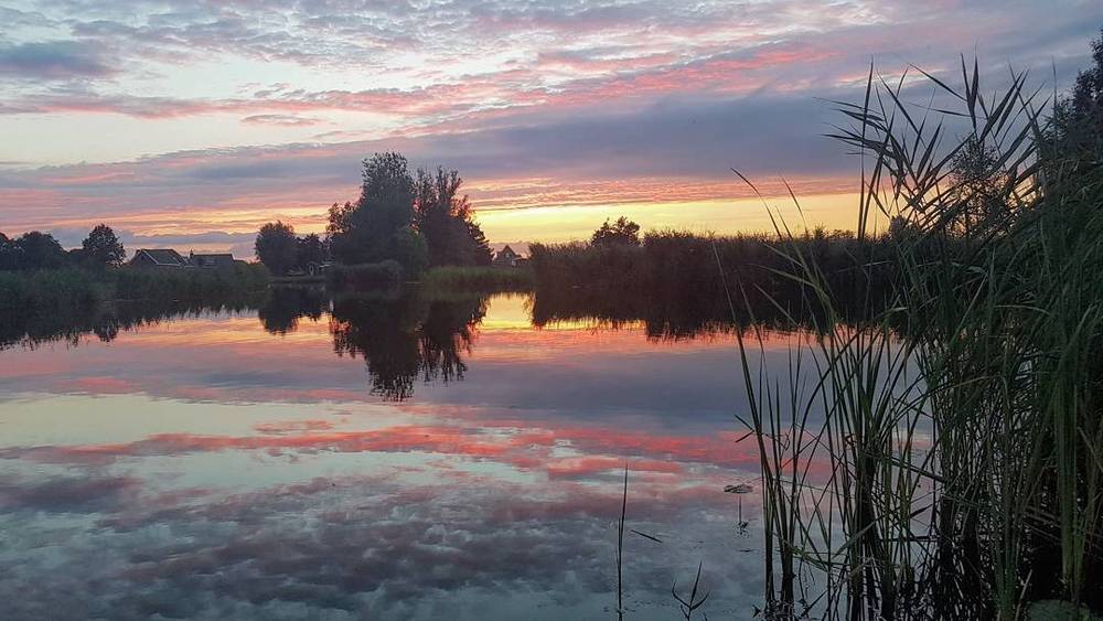 A vivid sunset reflected in calm water, framed by tall reeds at the water's edge.
