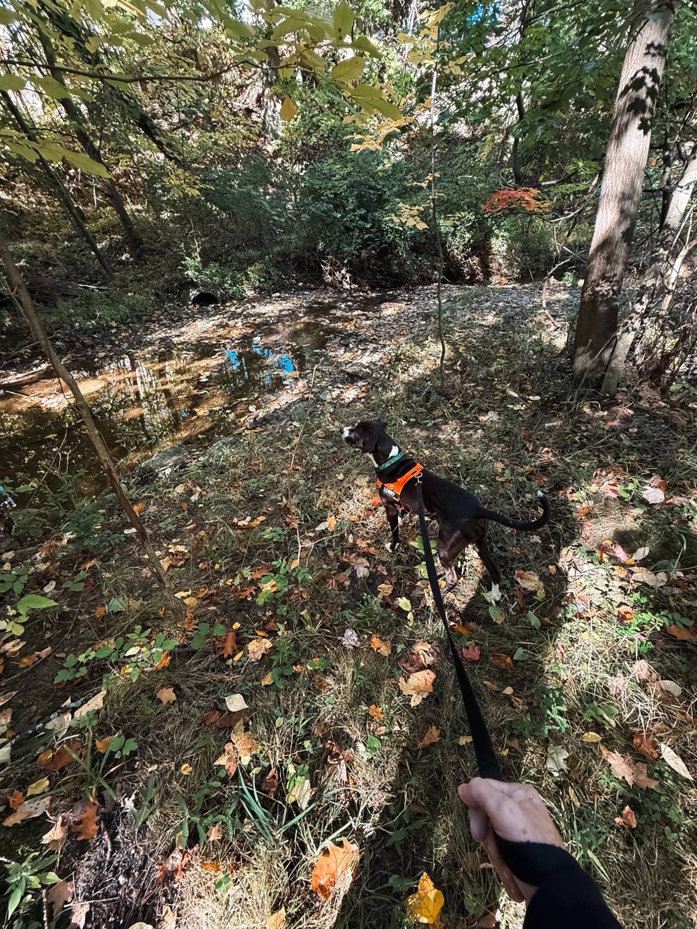doing good boy stuff
