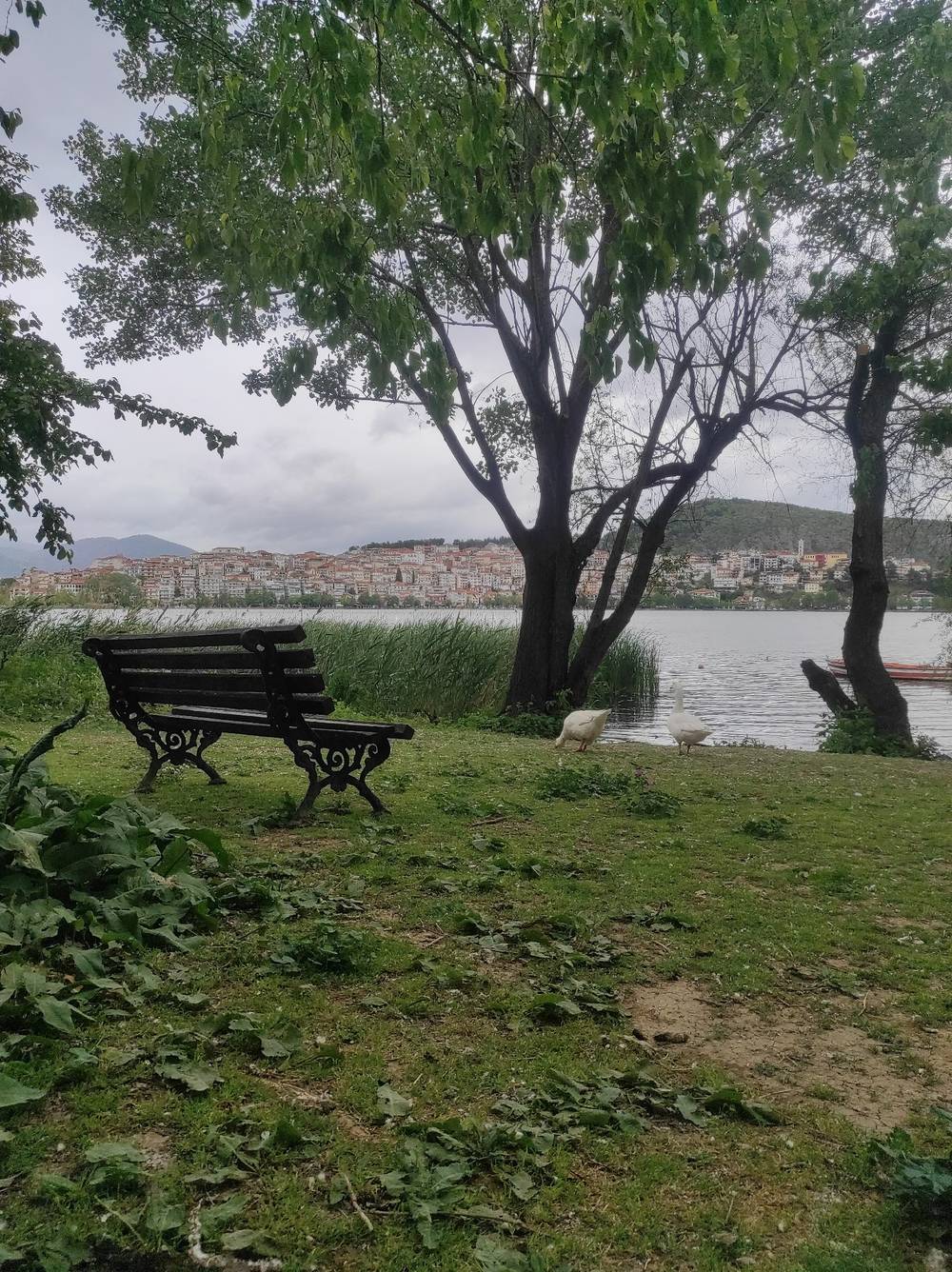 kastoria