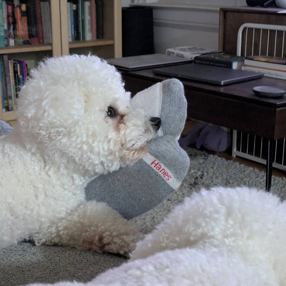 Using daddy's feet as a pillow