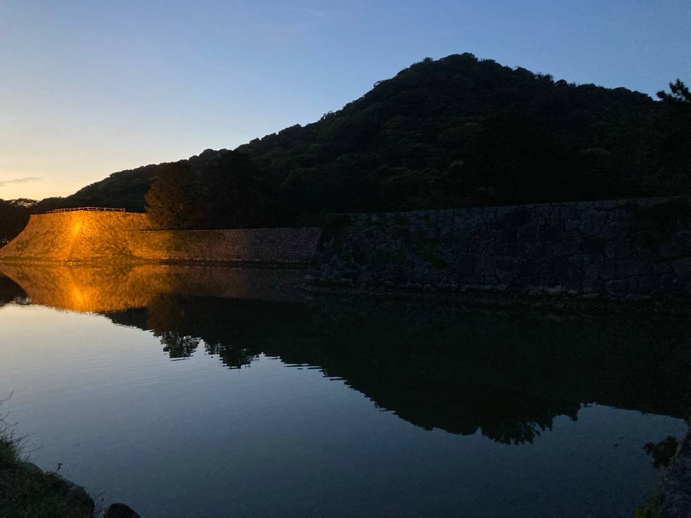 Reflection 
