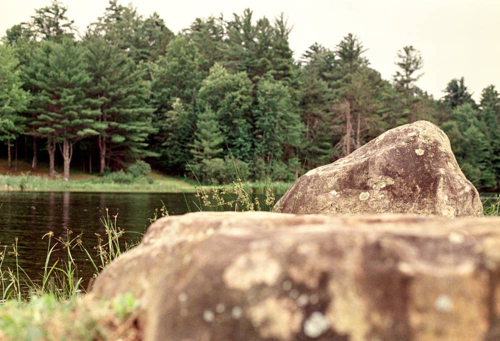 Rocks, Water, Trees