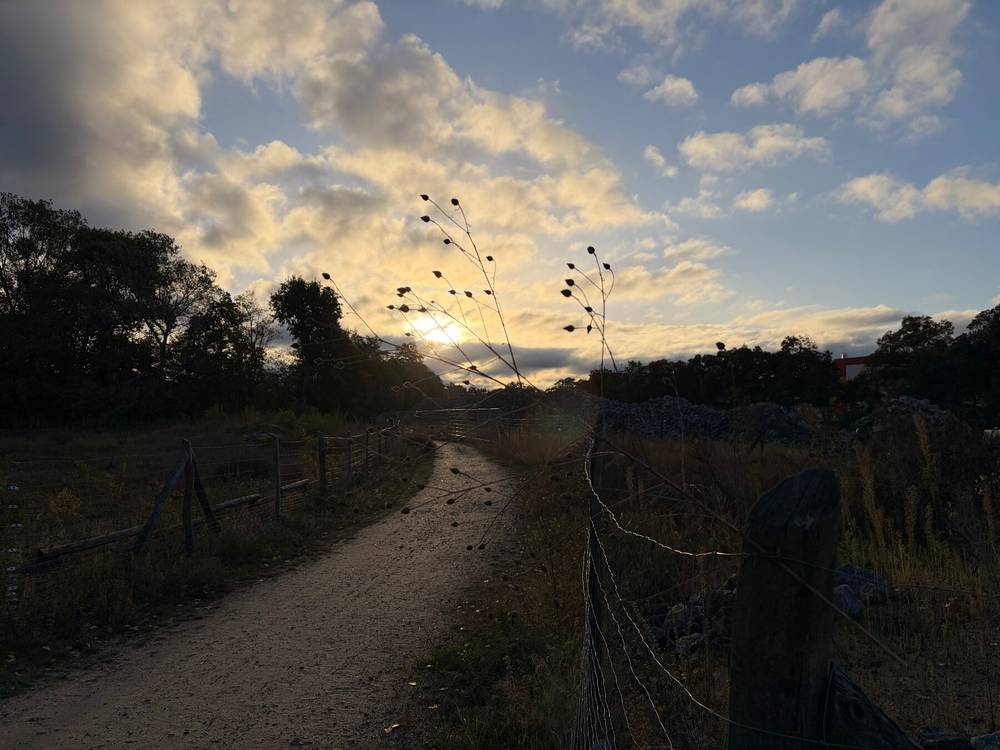 der himmel über dem napoleonkai