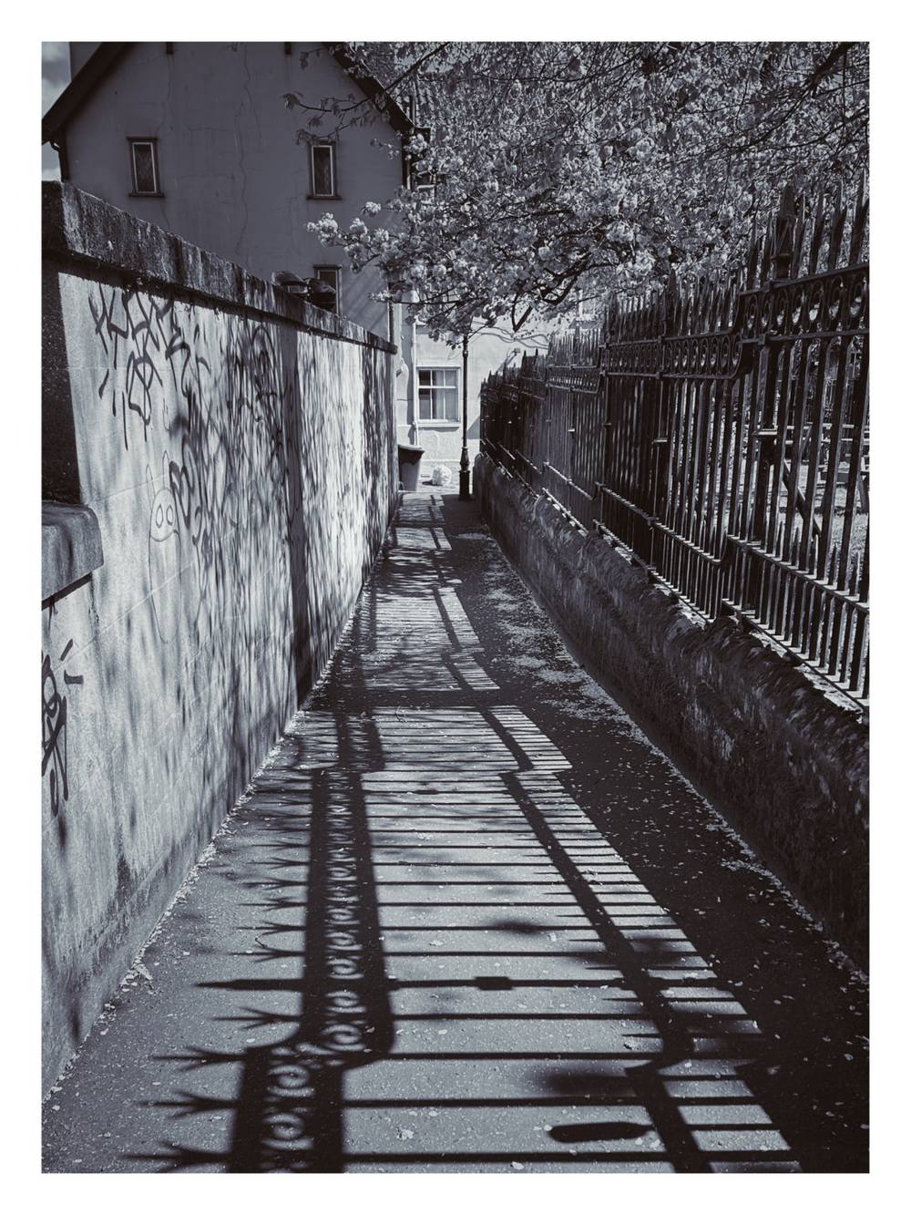 Railings & Shadows, Norwich 2026