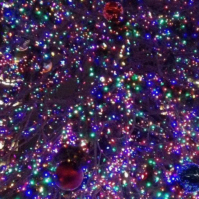 Dec 19, 2014, photo 1 of 1