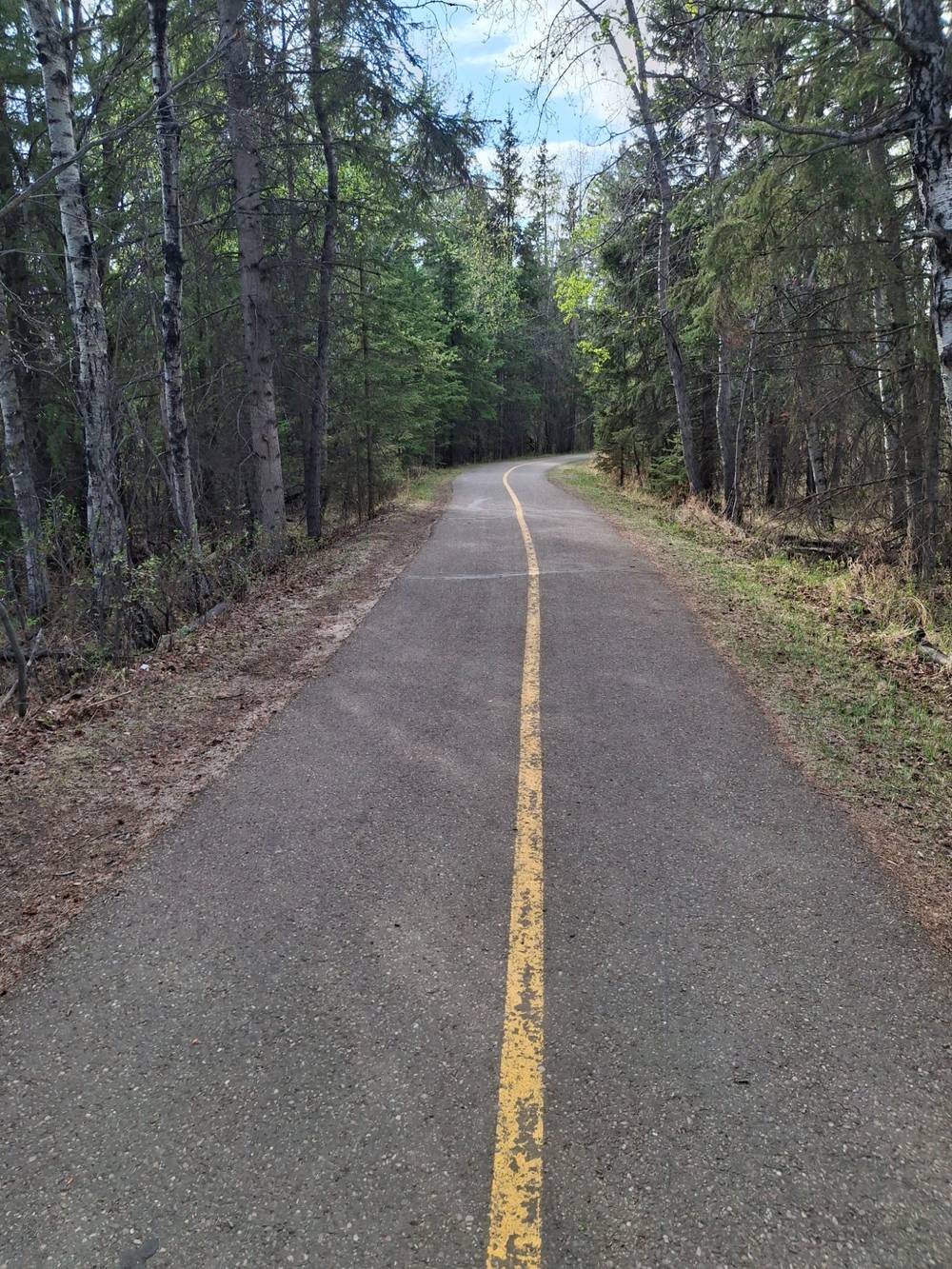 Paths on a Walk