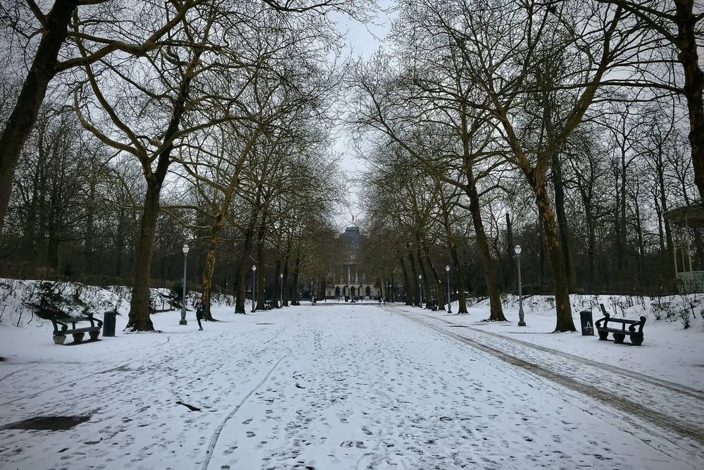 Snowy Brussels, photo 1 of 1