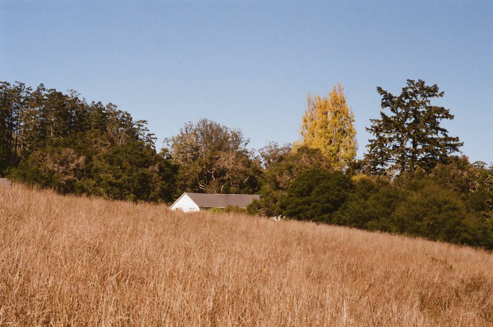 Point Reyes 