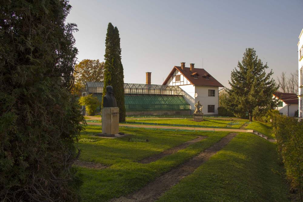 A garden building framed by tall cypress trees, with a bust on a pedestal in front.
