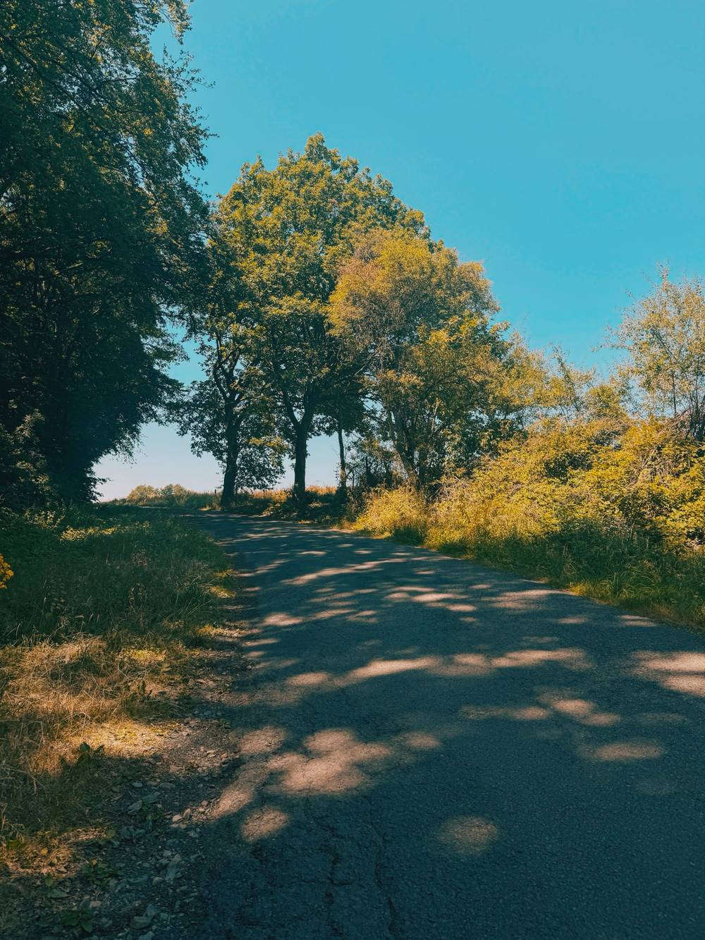 Last days of summer , photo 2 of 3
