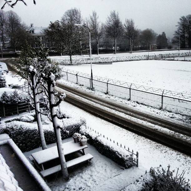 A snow-covered garden with a picnic table, trees and a path beside a canal.