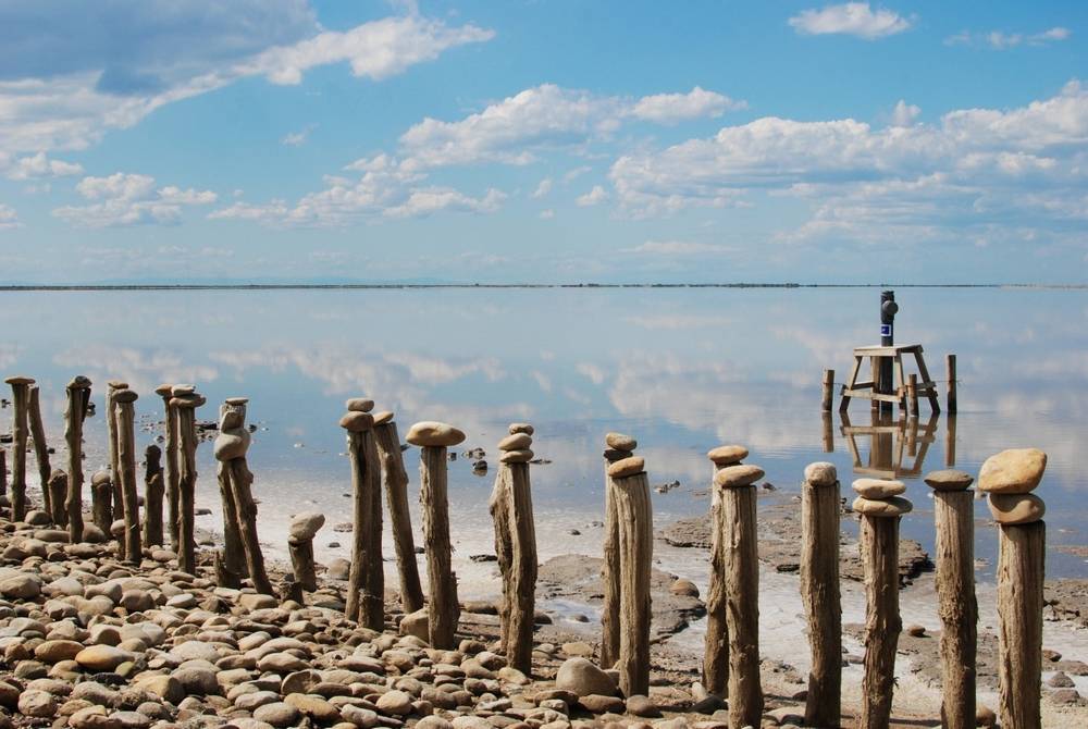 Le Camargue