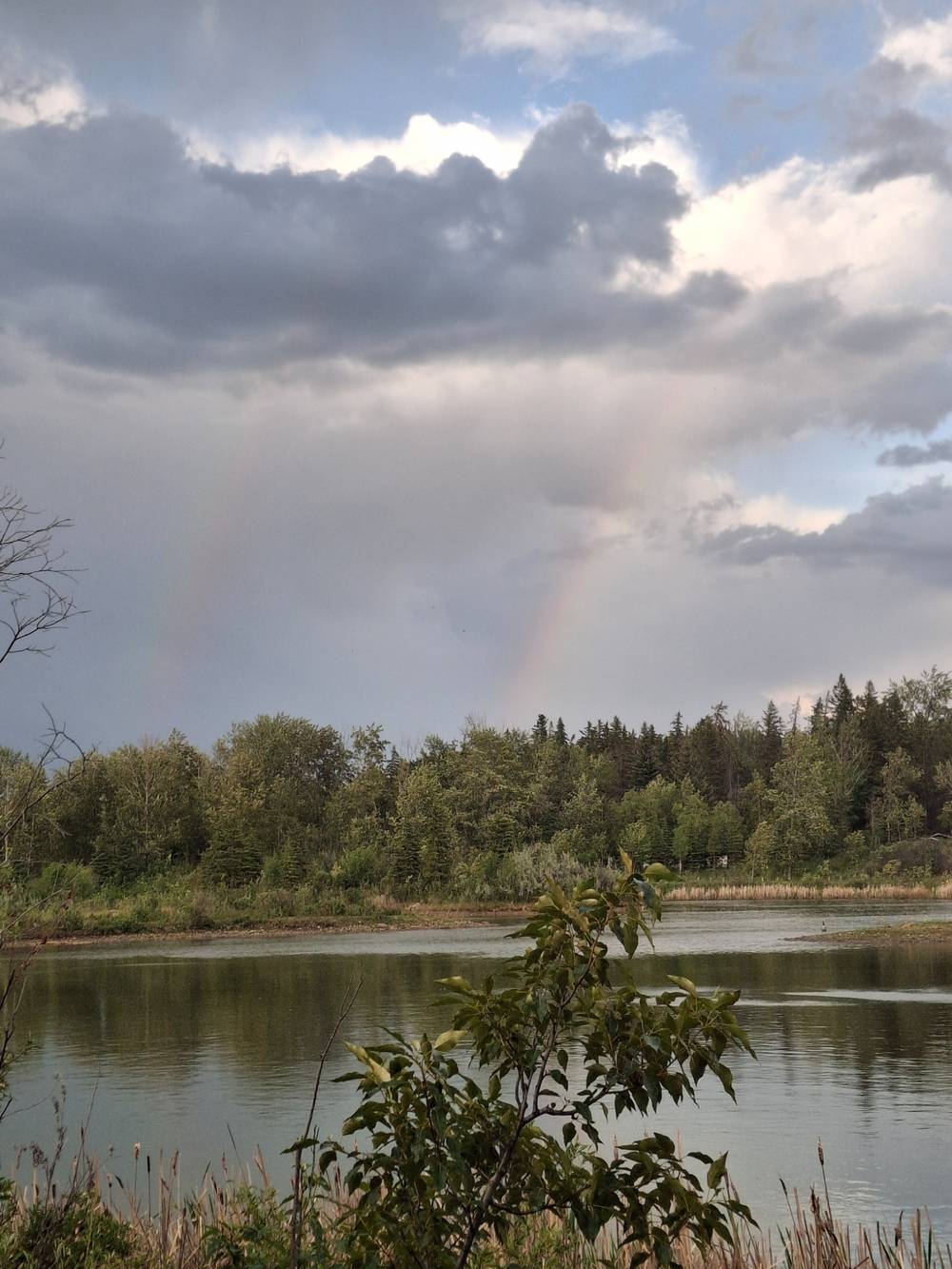 Looking out over the tall grass and reeds at the pond. In the sky is some gray clouds and a slight glimpse of a double rainbow.