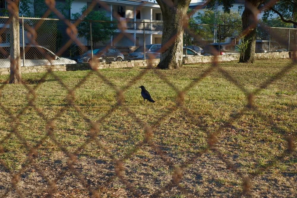 Autumn morning at Emerson Park in San Luis Obispo, California. 
