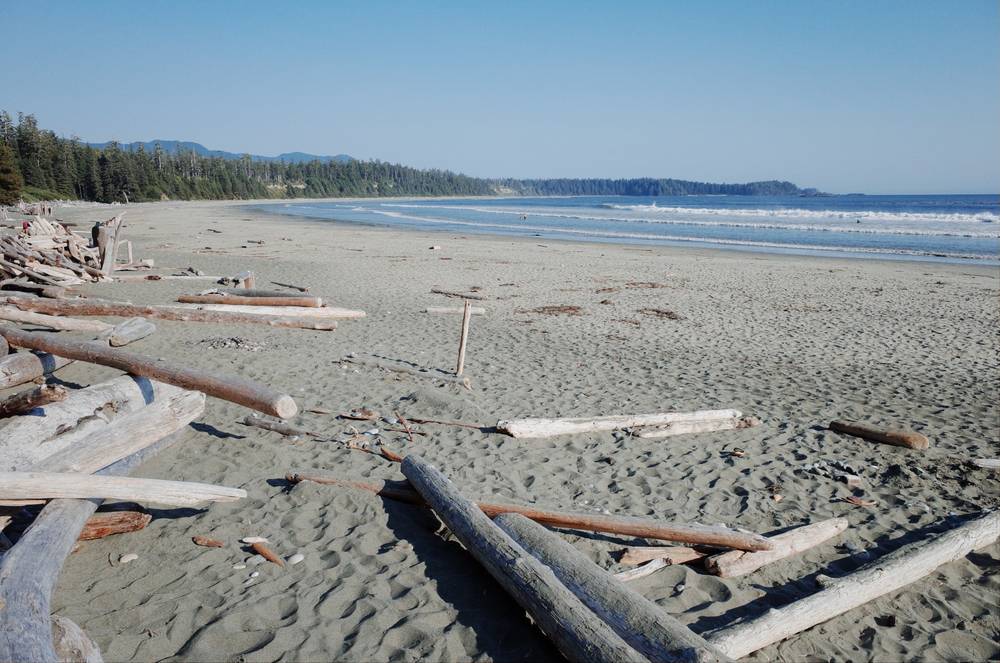 Wide sandy beach with scattered driftwood logs, gentle ocean waves, and a tree-lined shoreline under a clear blue sky.