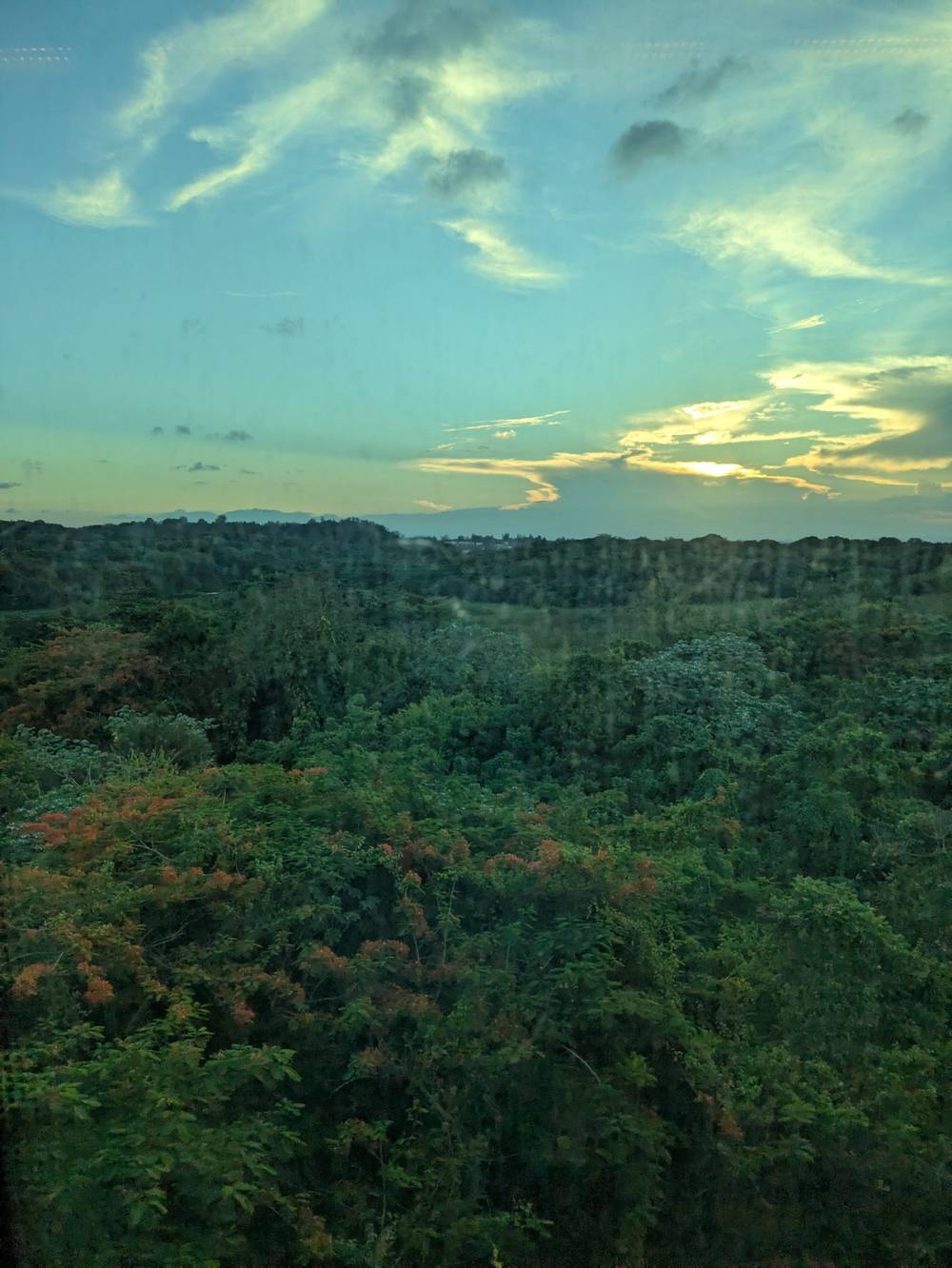 Metro Sunset
