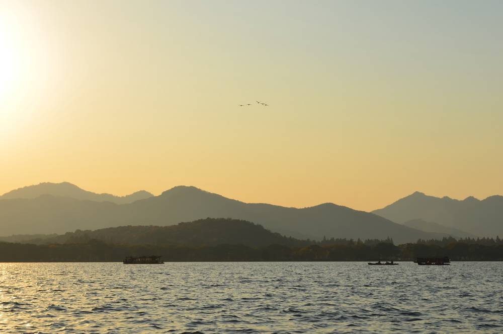 A flock of birds flying over a lake before sunset, with mountains in the background