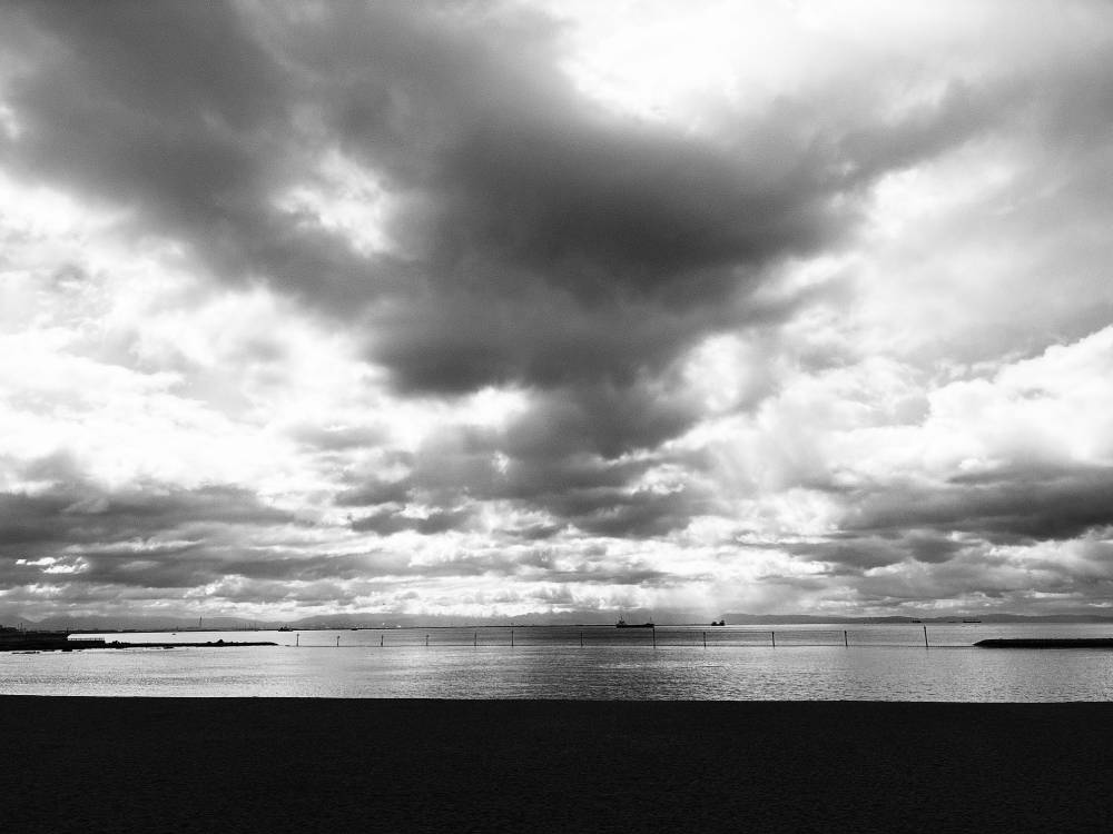 Monochrome Moments