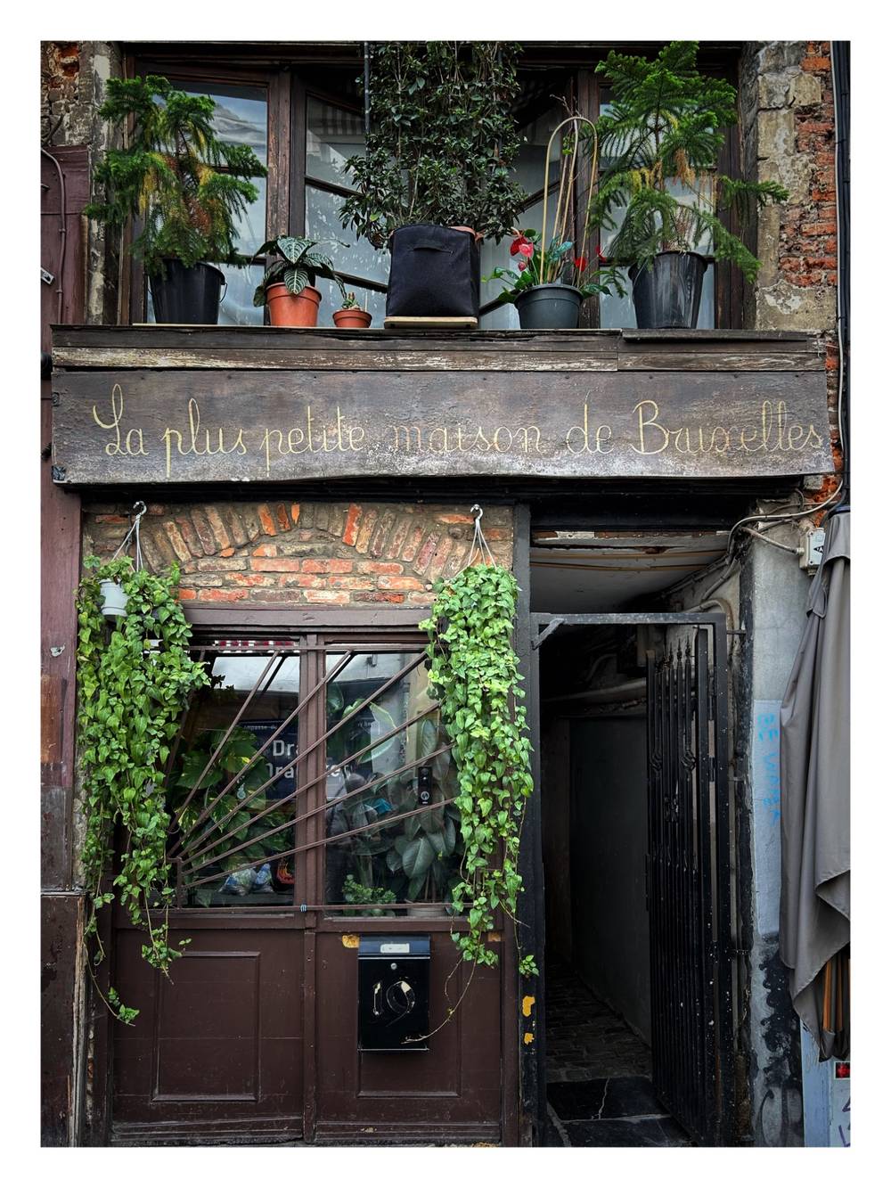 La plus petite maison de Bruxelles, 2026