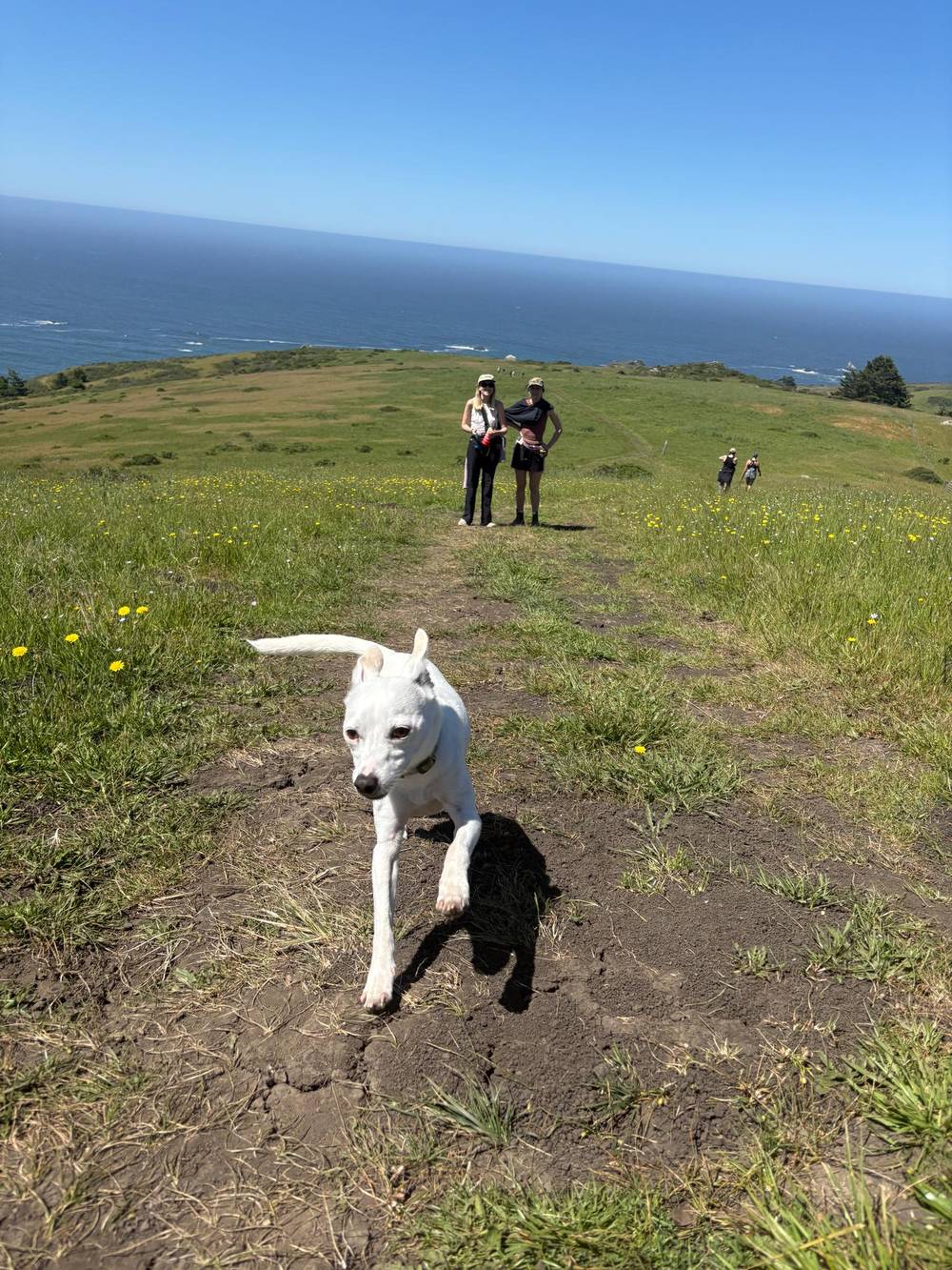 Jenner, photo 1 of 6