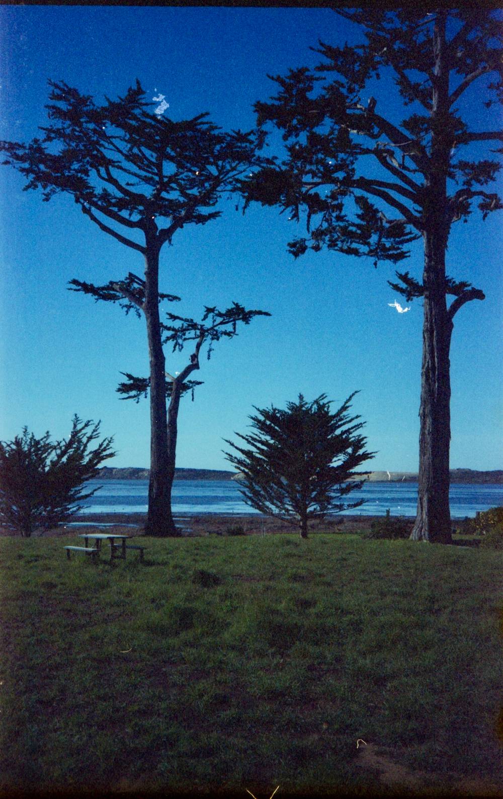 Baywood