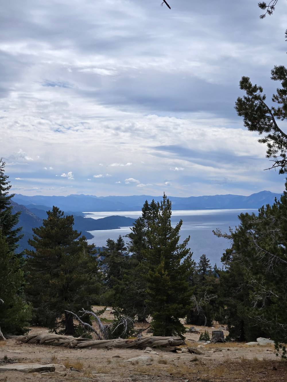 Looking down over Lake Tahoe, the shoreline obscured by tall pine trees. The heavy overcast clouds are backbiting by the sun, brightening the sky.