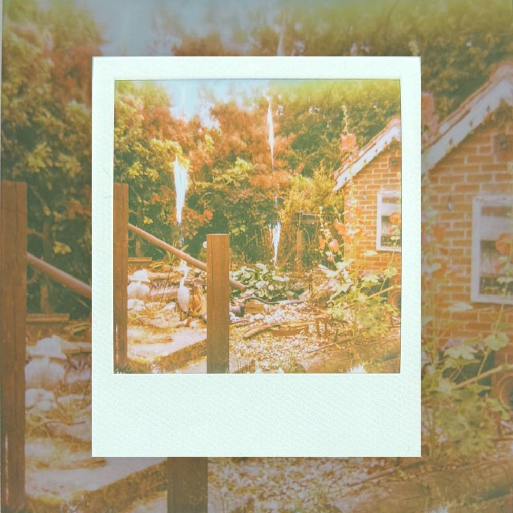 Polaroids in the Garden