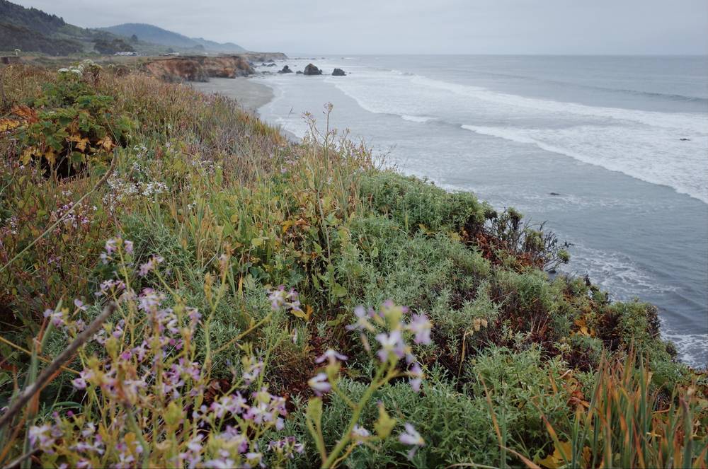 north hwy 1