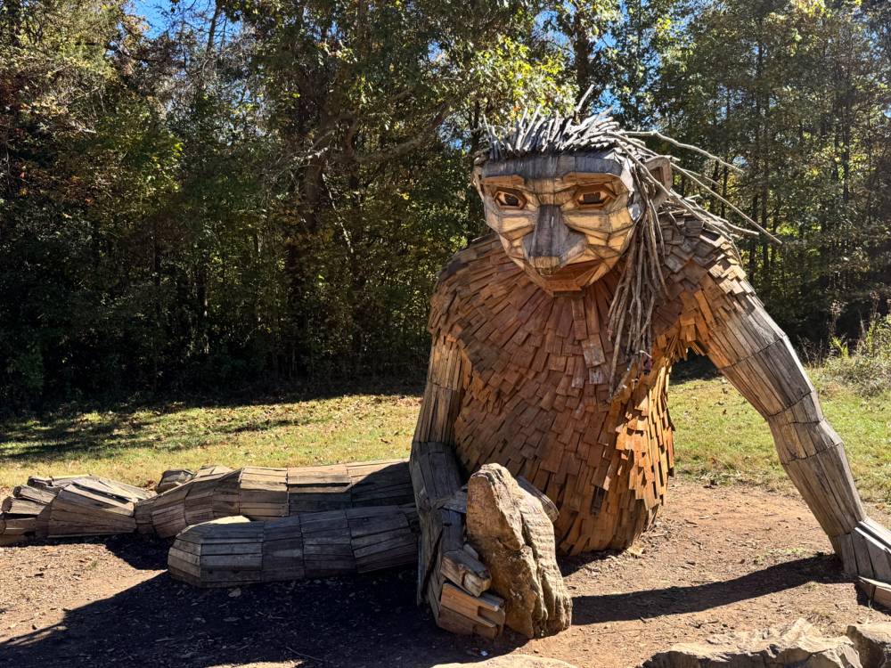 Art made of wood to depict a forest Giant young adult