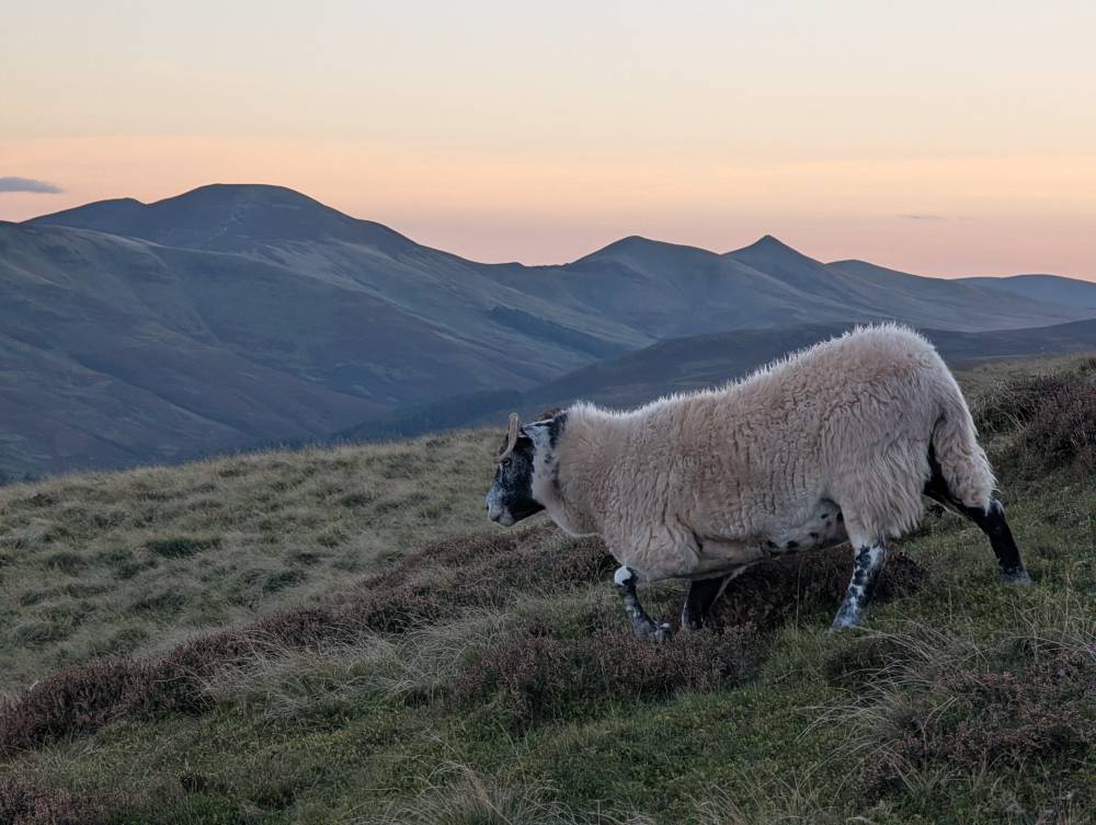 Pentlands in the golden hours