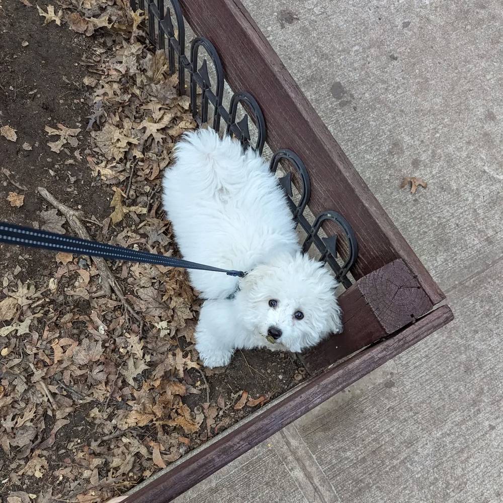There's a little leaf on your nose, Kibi 🍃