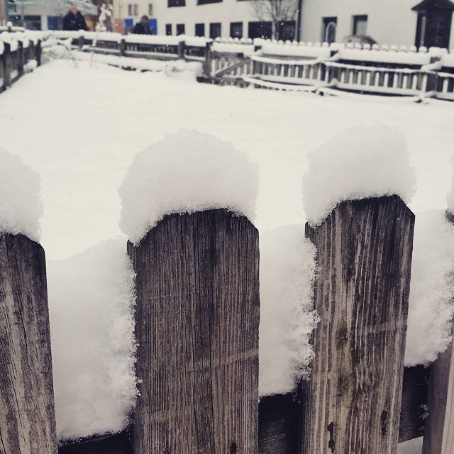 Snow piled thickly on top of wooden fence posts.