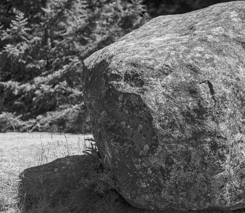 Rock
