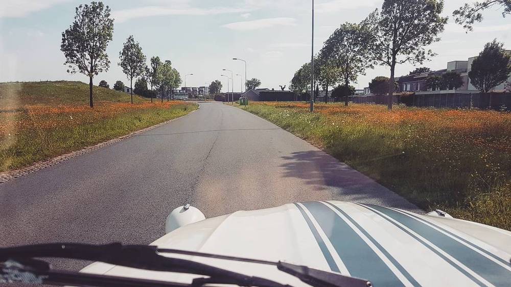 A road lined with poppies and trees stretching through open farmland.
