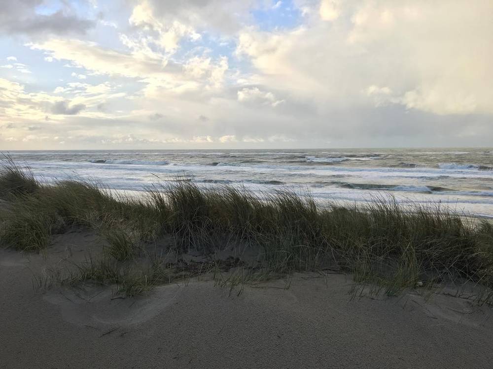 Dune grass on a beach with waves rolling in under a cloudy sky.