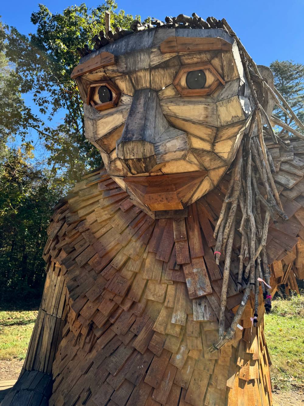 Forest Giant Little Elina