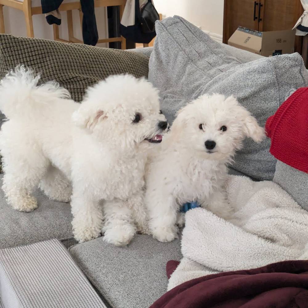 We're ready for the weekend!, photo 1 of 1
