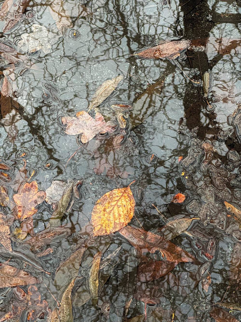 Puddle