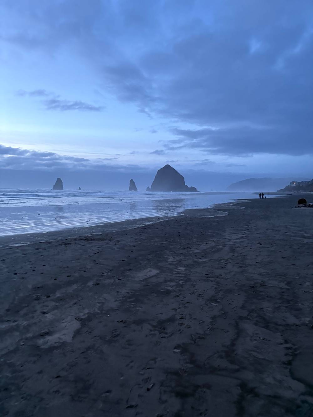 a dog and a beach, photo 2 of 2
