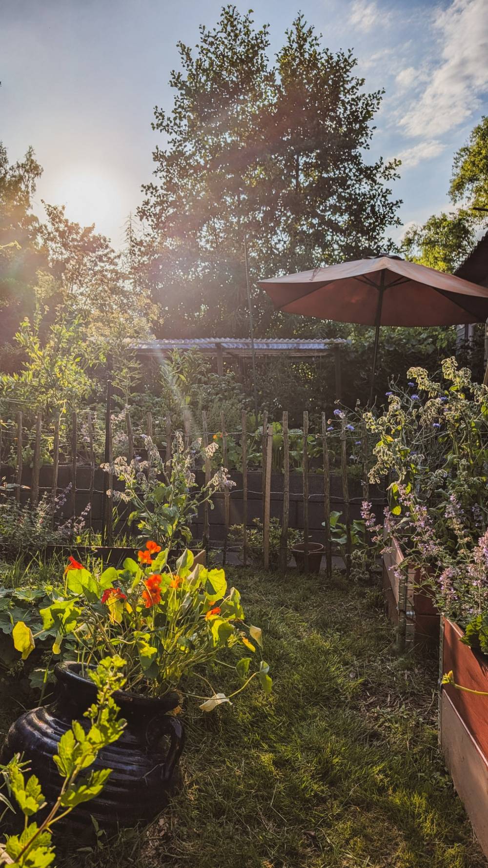 Sonne. Natur. Kleingarten.