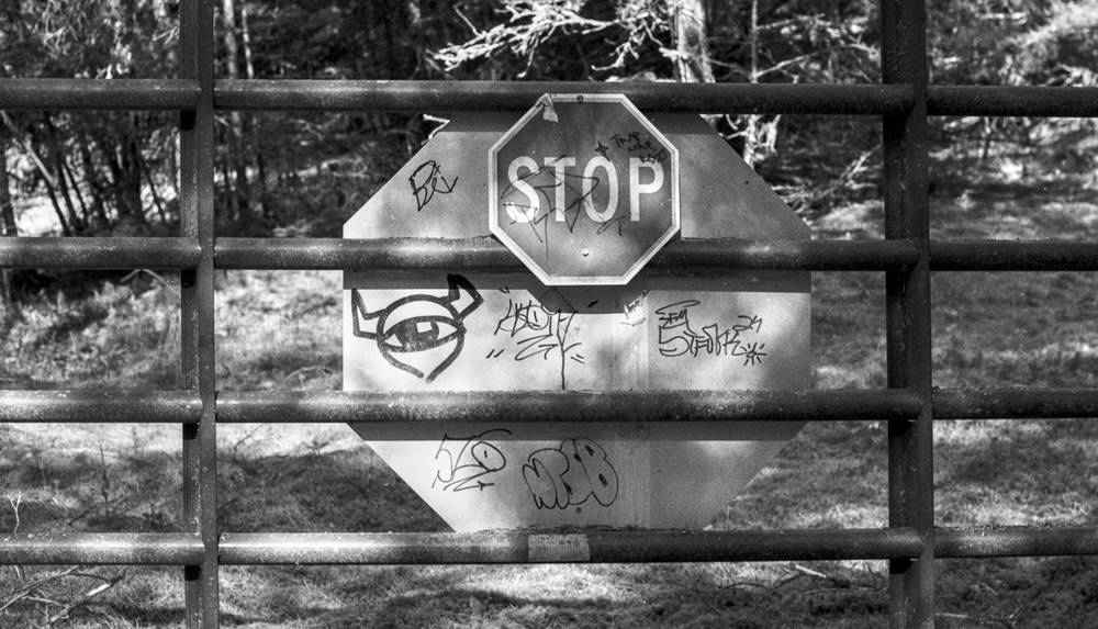 Black and white photo of a metal gate with graffiti-covered stop signs blocking a wooded path.