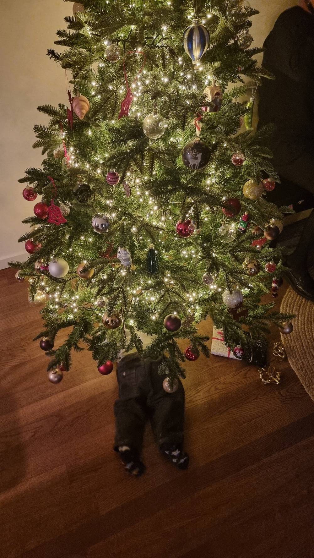 Xmas tree with 2 little legs/feet sticking out under it.