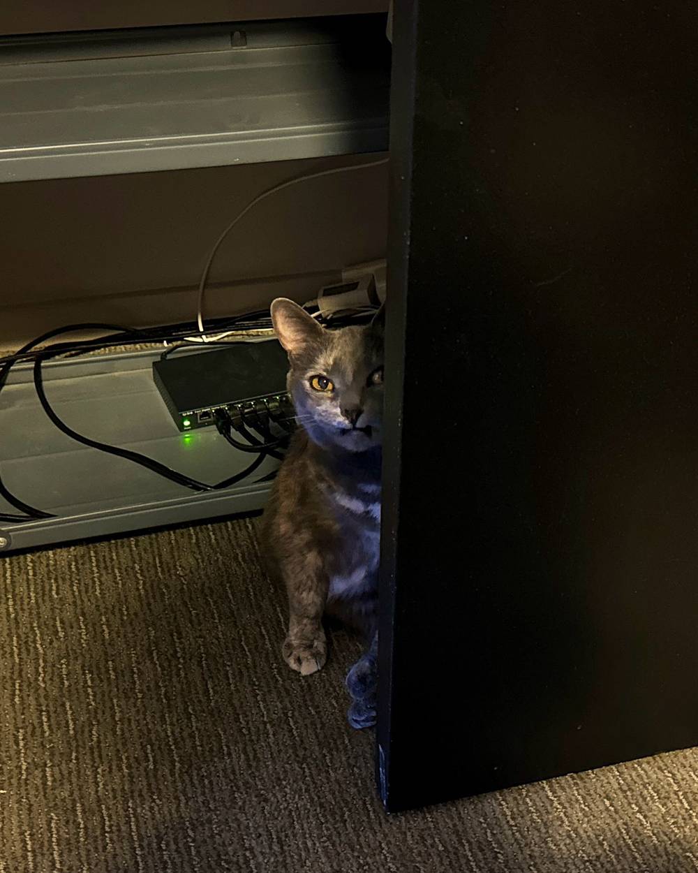 my sneaky sys admin